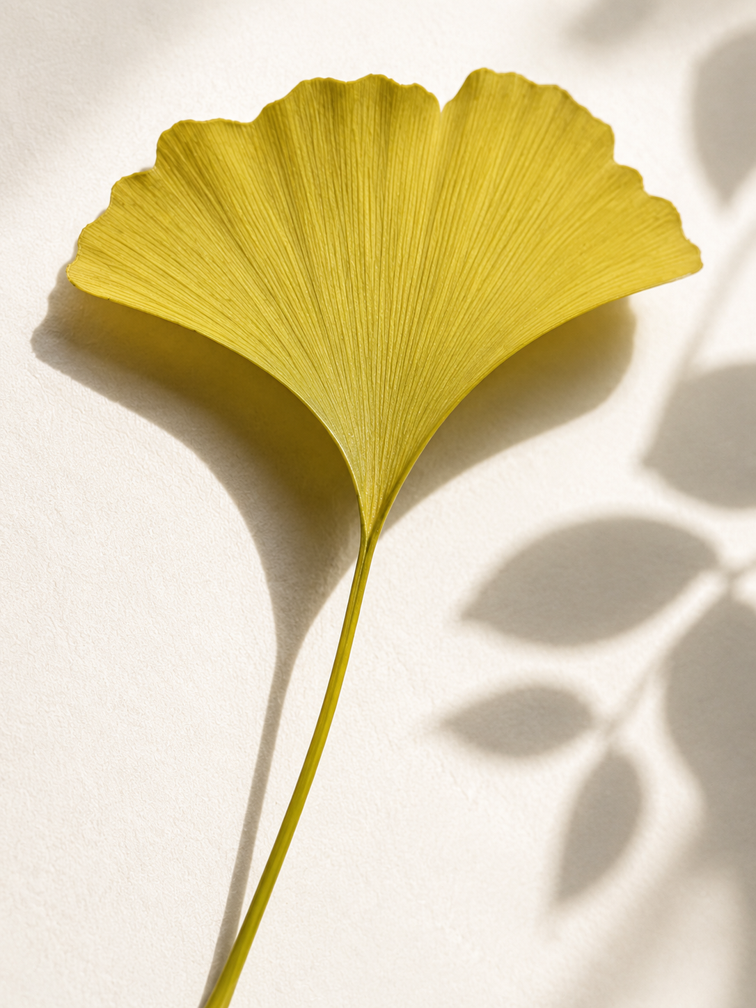 Antioxidant gel booster with ginkgo for a fresh, hydrated, and healthy-looking complexion.
