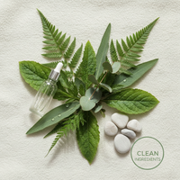 Clean Ingredients
